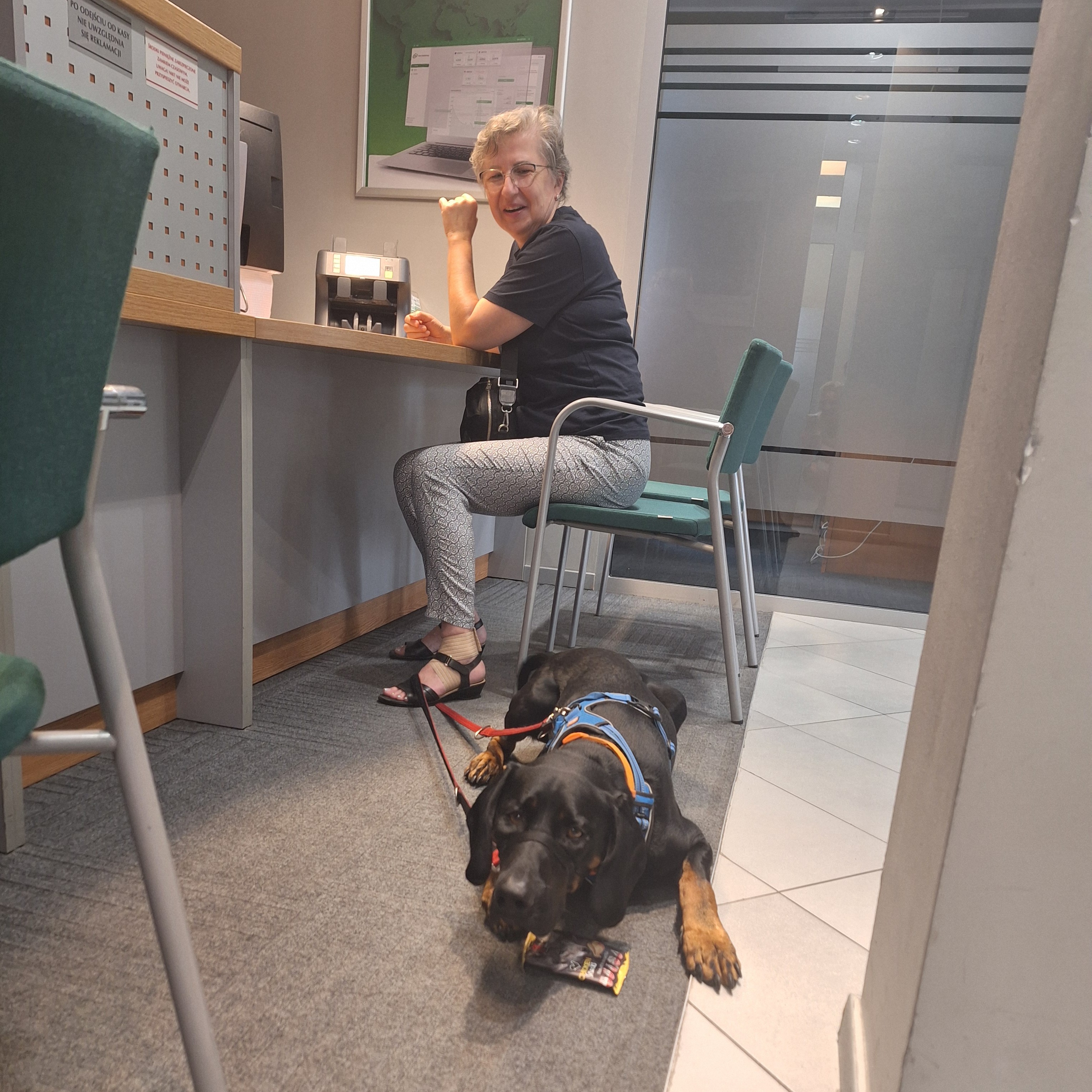 Klientka odwiedzająca bank w Rumi razem ze swoim pieskiem