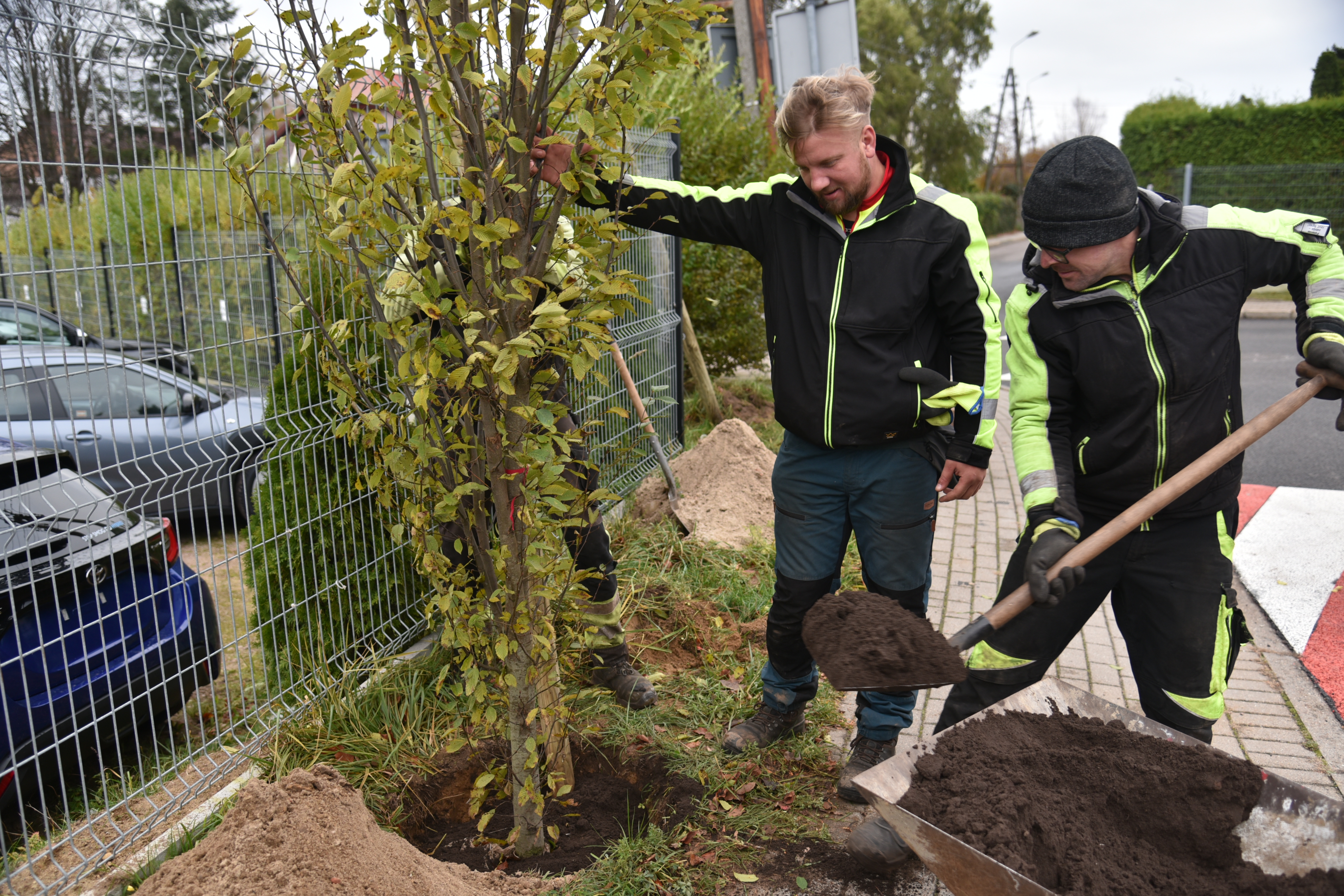 Nasadzenia nowych drzew przy ul. Włókienniczej w ramach akcji „Zieleń na mur beton”