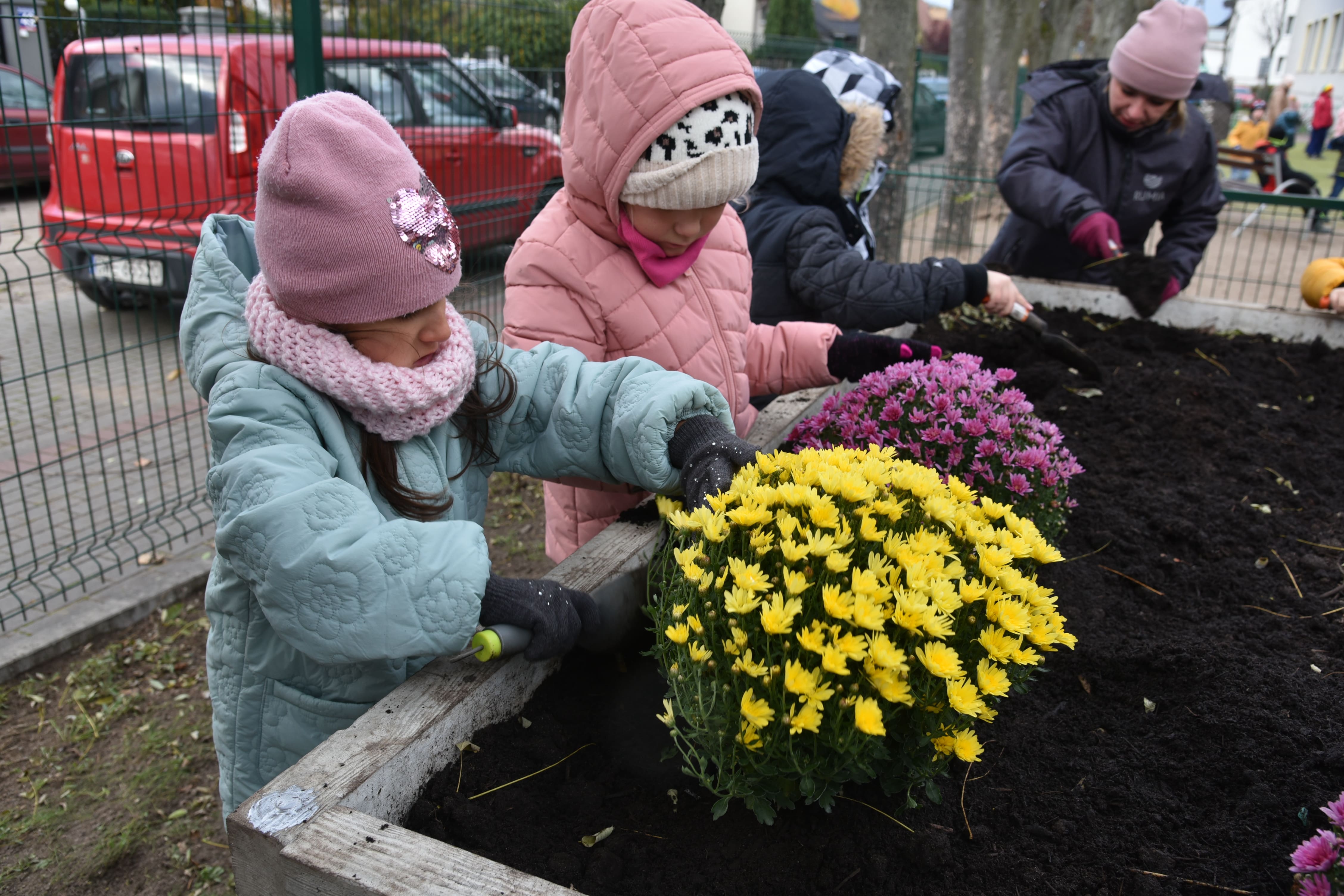 Dzieci z SP nr 6 sadzą rośliny w betonowym warzywniku