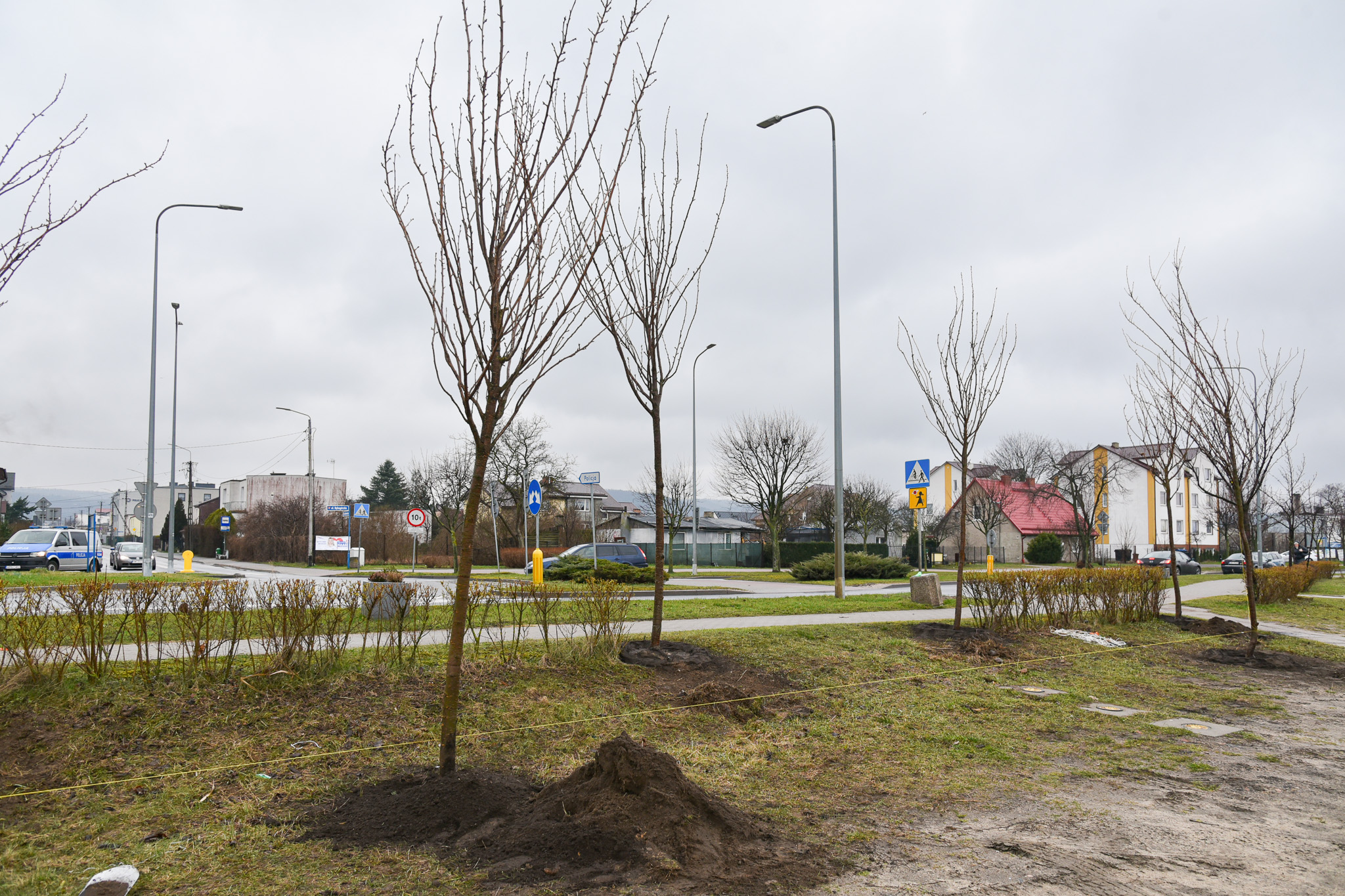 Teren, na którym pojawiają się nowe drzewa – widok w stronę ul. Dębogórskiej