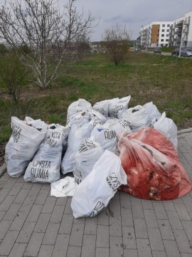 Odpady zebrane przez wolontariuszy