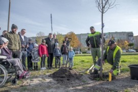 Partnerzy akcji słuchający instrukcji dotyczących sadzenia drzew