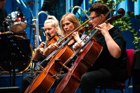 Instrumentaliści Pomorskiej Orkiestry Kameralnej, fot. Starostwo Powiatowe w Wejherowie