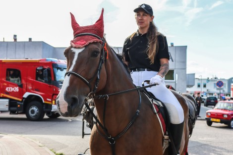 „Strażacki festyn z… książką” w Parku Żelewskiego