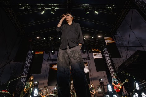 Koncert zespołu Wilki