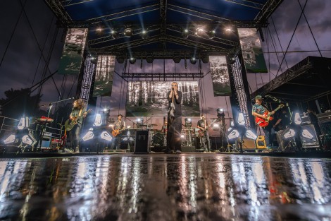 Koncert zespołu Wilki