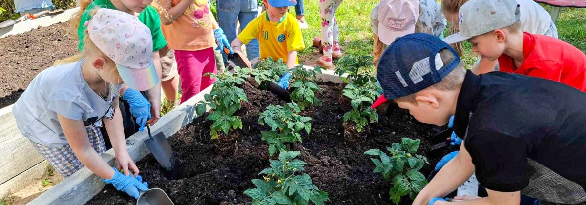 Od segregacji śmieci do sadzenia roślin – Rumia uczy ekologii przez zabawę