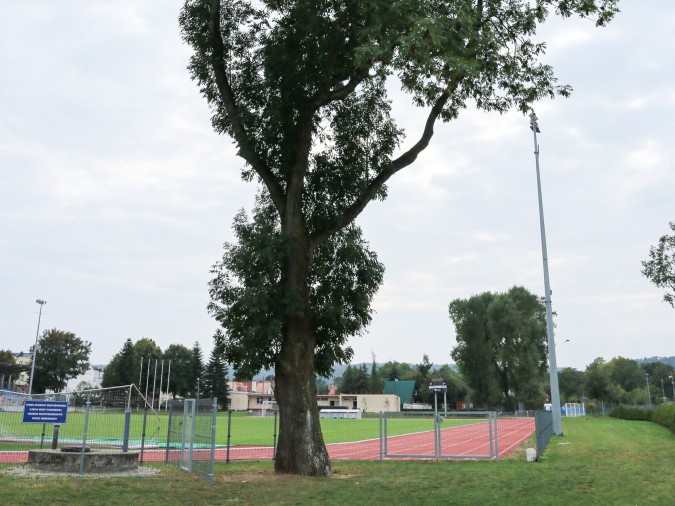 Śladami pomników przyrody – cz. 6