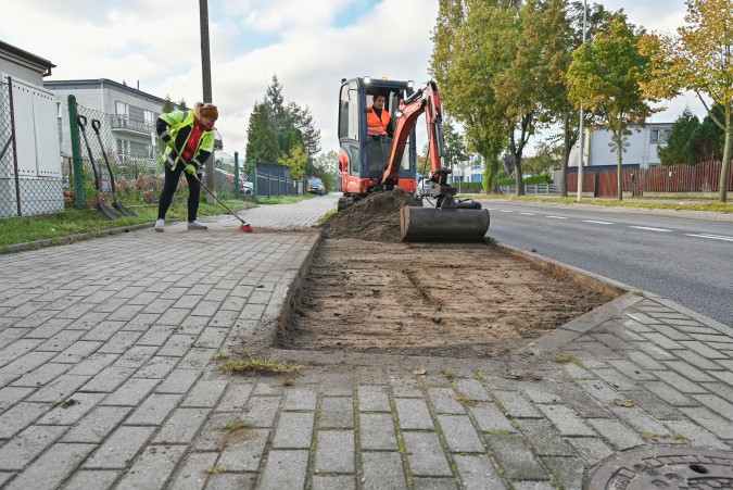 Roślinna metamorfoza miejskich trawników