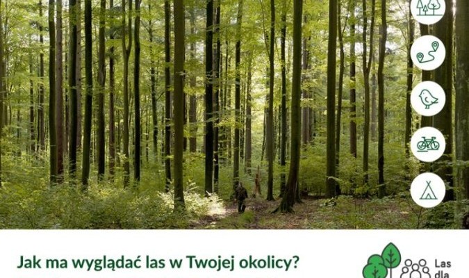 Jak może wyglądać las w twojej okolicy? Nadleśnictwo zaprasza do dyskusji