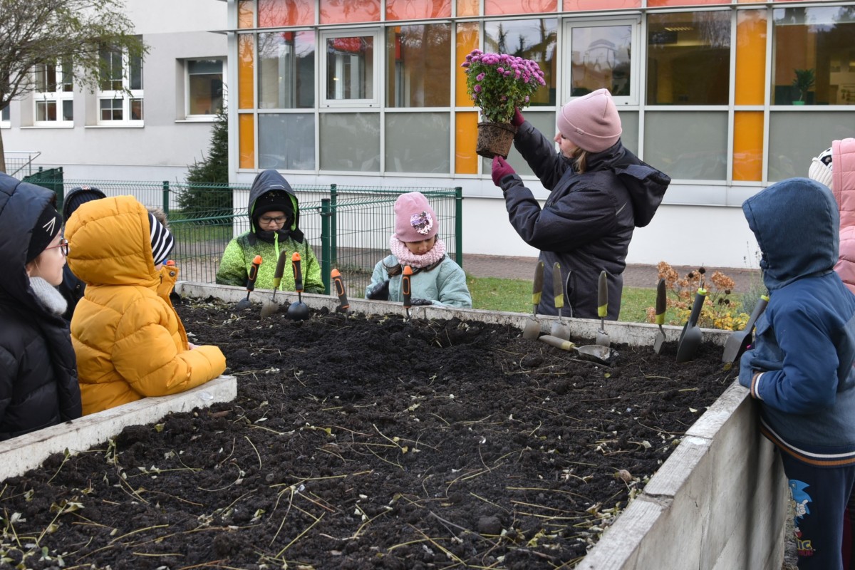 Dzieci ze Szkoły Podstawowej nr 6 podczas krótkiej lekcji sadzenia roślin z Anną Borys, koordynatorką programu w Urzędzie Miasta Rumi