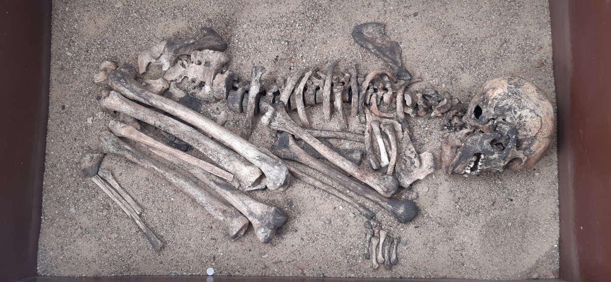 Szkielet II-IV w. n.e., przekazany w 1998 do rumskiego MDK-u