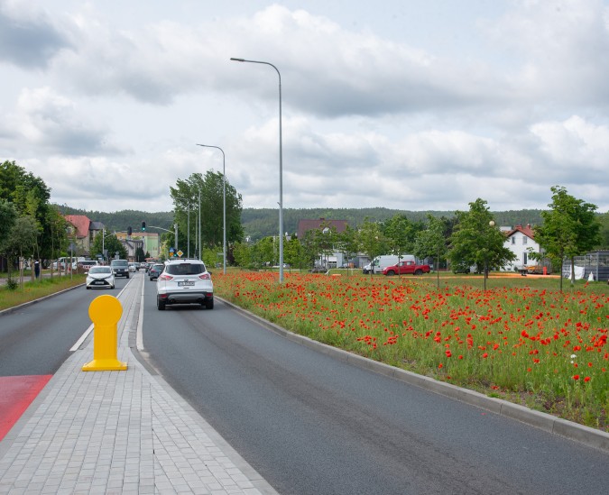 Zieleń pod kontrolą – mimo przeszkód