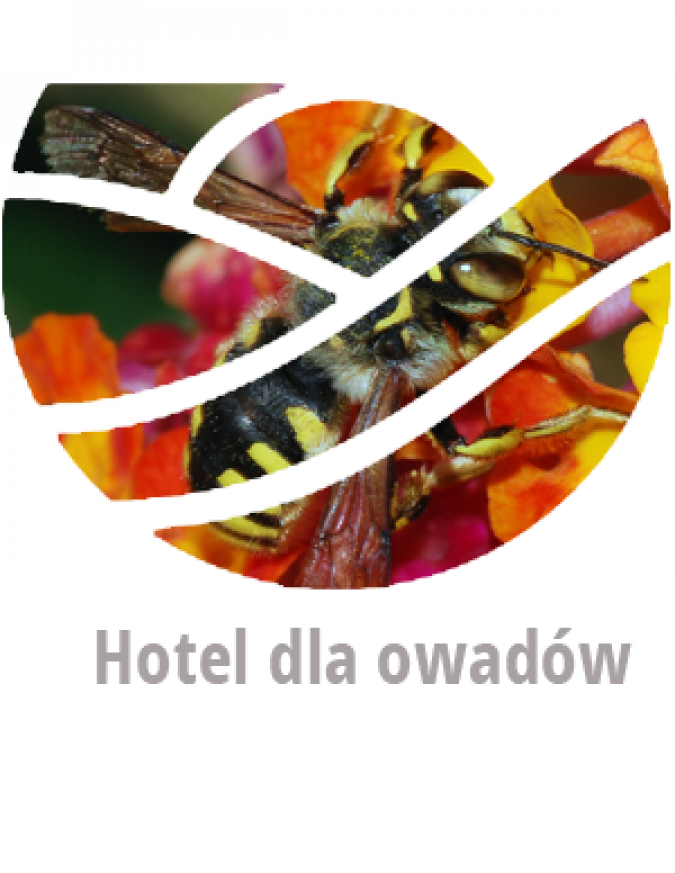 Hotel dla owadów